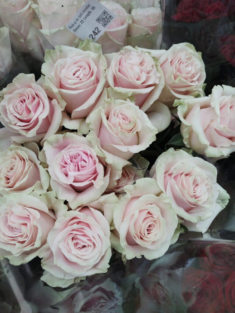 With Sympathy bouquet arranged by a local florist in Tewkesbury