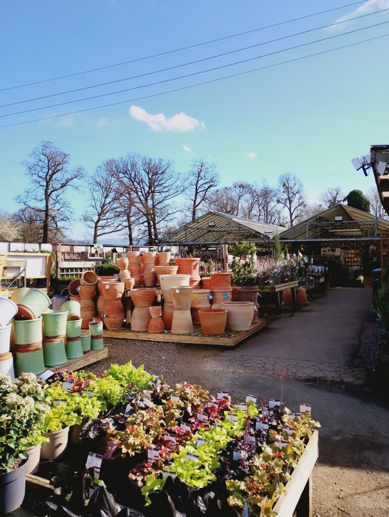 Outdoor plant displays in a variety of colours and sizes